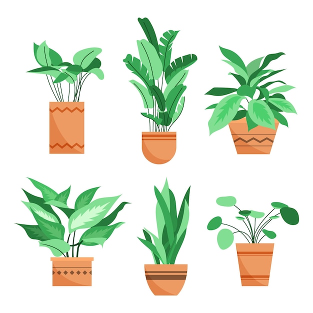 Hand drawn houseplant collection