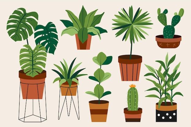 Hand drawn houseplant collection