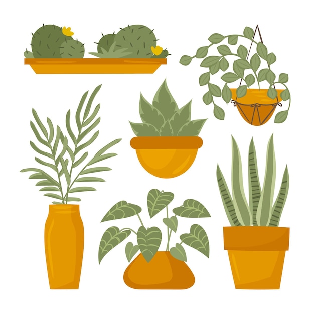 Free vector hand drawn houseplant collection