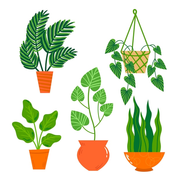 Hand drawn houseplant collection