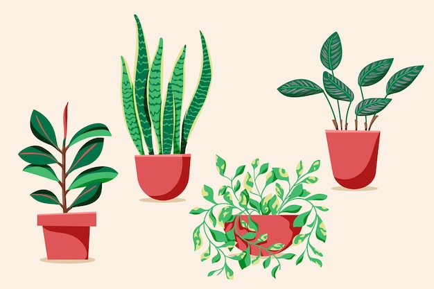 Hand drawn houseplant collection