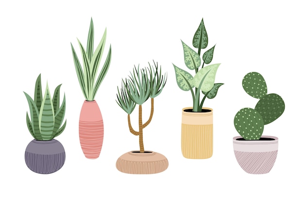 Hand drawn houseplant collection