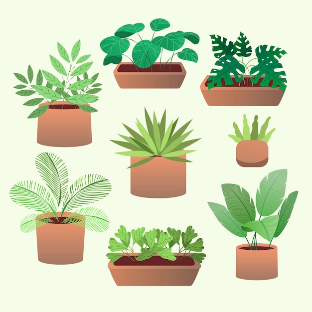 Hand drawn houseplant collection