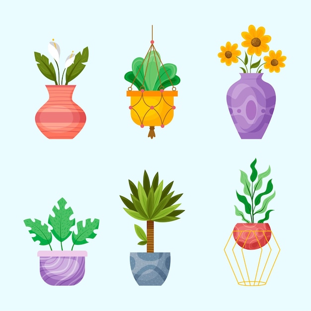 Hand drawn houseplant collection