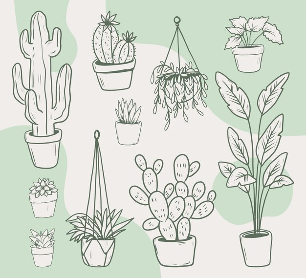 Hand drawn houseplant collection