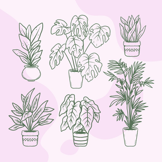 Hand drawn houseplant collection