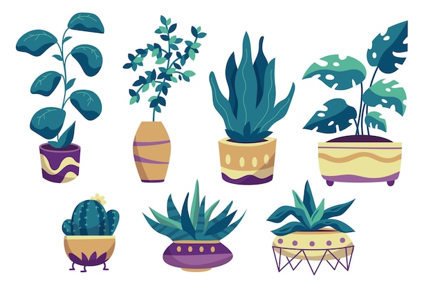 Hand drawn houseplant collection