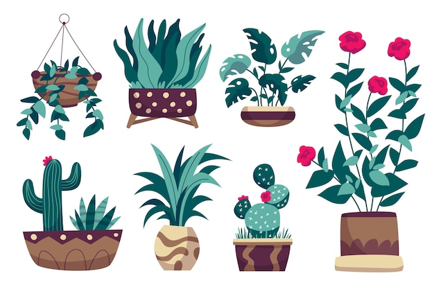 Free Vector hand drawn houseplant collection