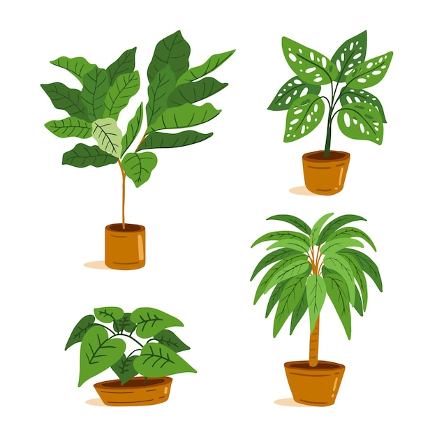 Hand drawn houseplant collection