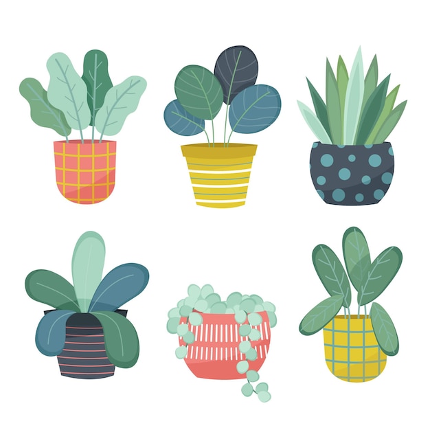 Hand drawn houseplant collection