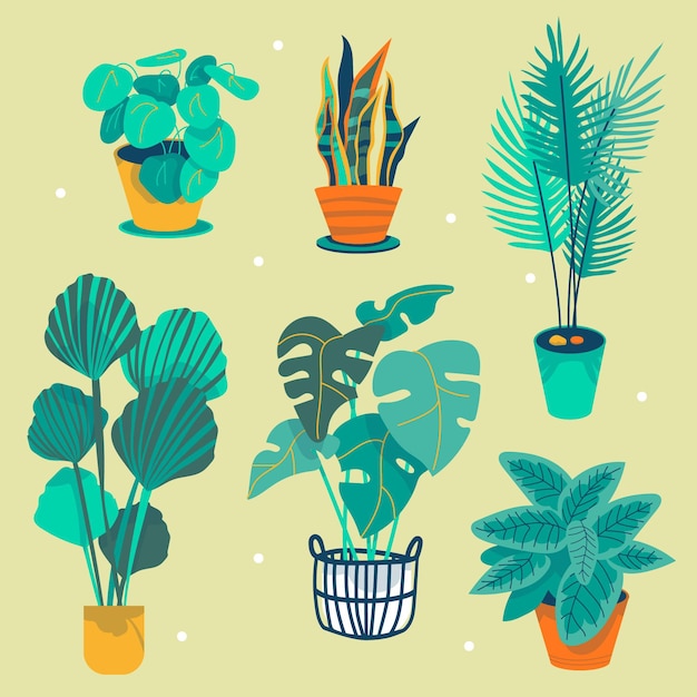 Free Vector hand drawn houseplant collection