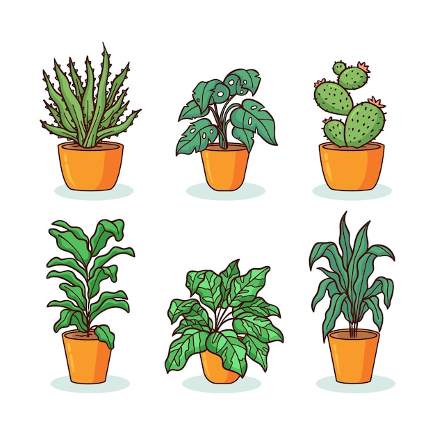 Hand drawn houseplant collection