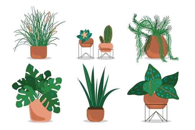 Hand drawn houseplant collection