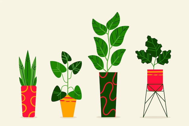 Free Vector hand drawn houseplant collection