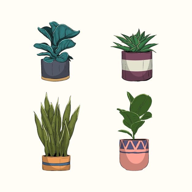 Hand drawn houseplant collection