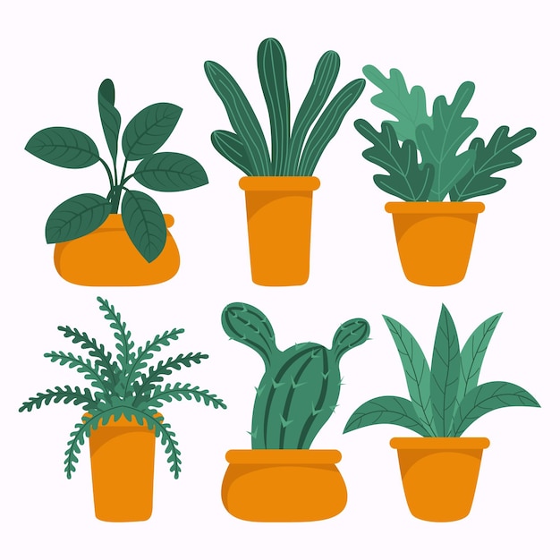 Hand drawn houseplant collection