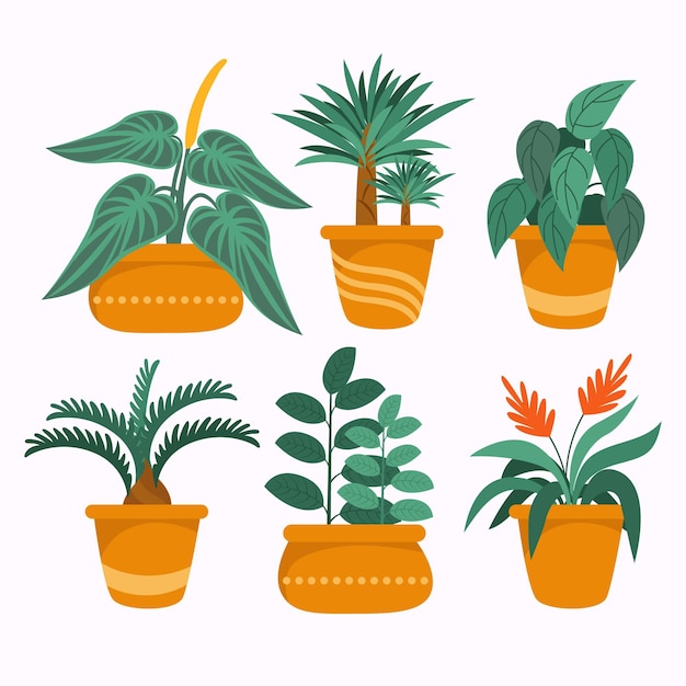 Hand drawn houseplant collection