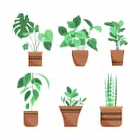 Free vector hand drawn houseplant collection