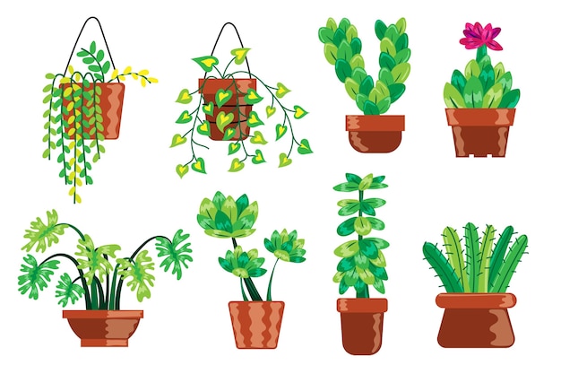 Free Vector hand drawn houseplant collection