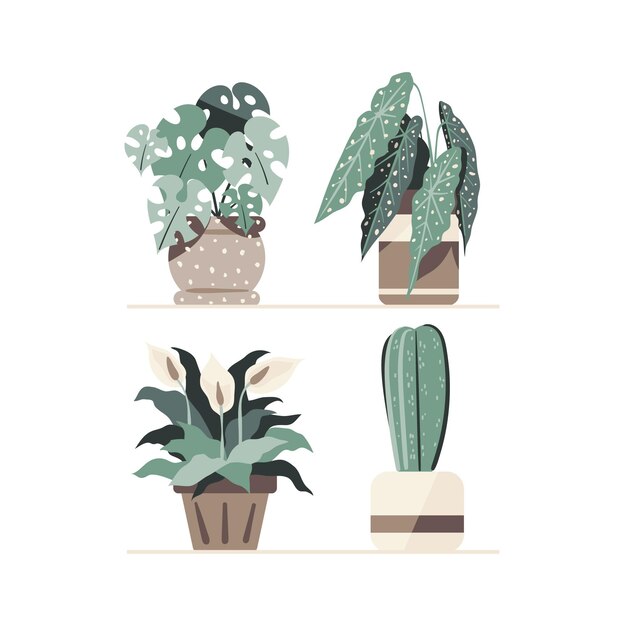 Hand drawn houseplant collection