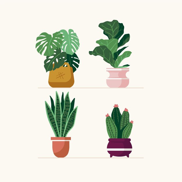 Hand drawn houseplant collection