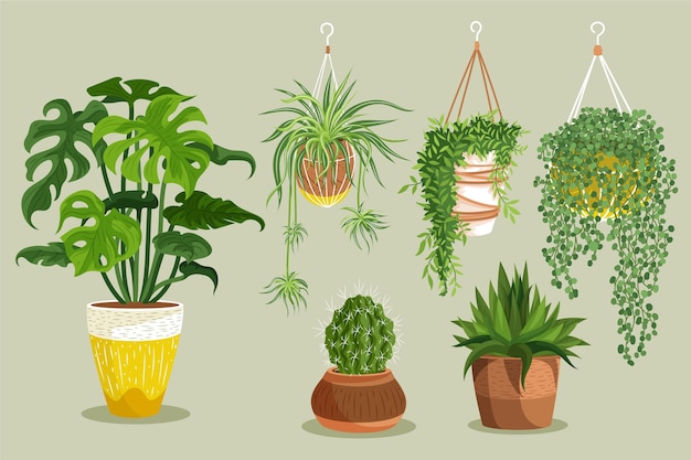 Free Vector hand drawn houseplant collection