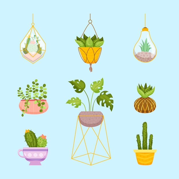 Hand drawn houseplant collection