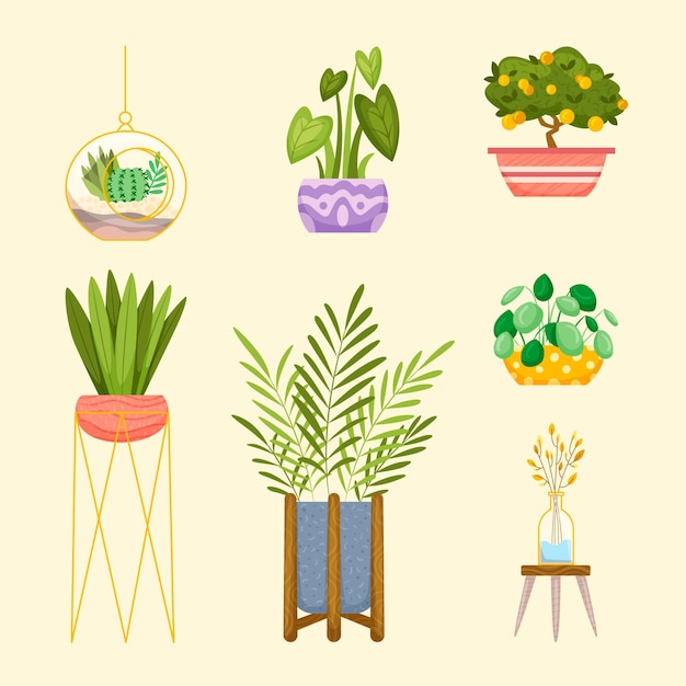 Hand drawn houseplant collection