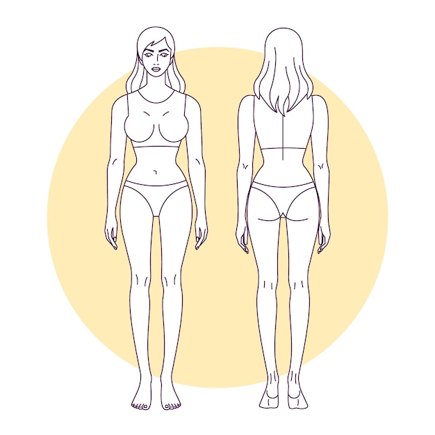 Free vector hand drawn human body outline illustration