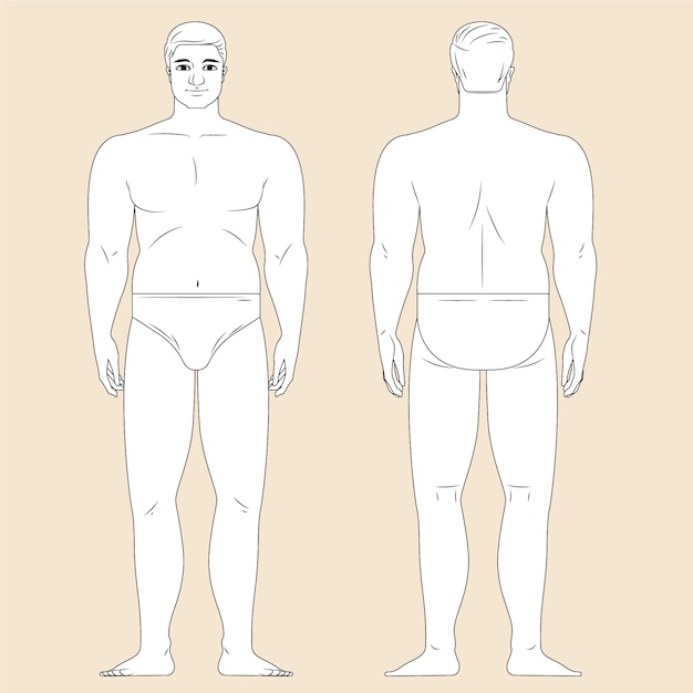 Free Vector hand drawn human body outline illustration