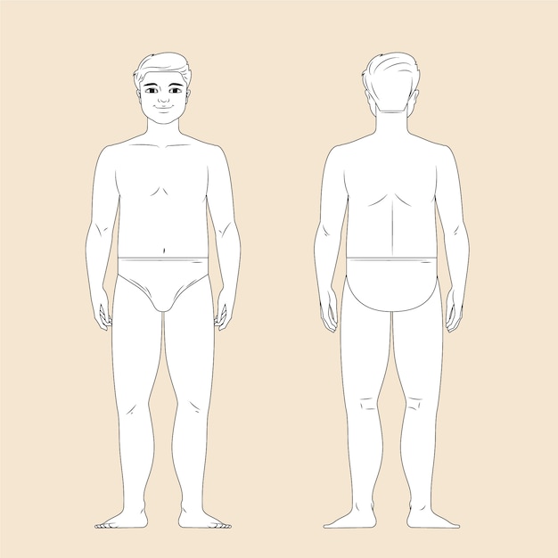 Free Vector hand drawn human body outline illustration