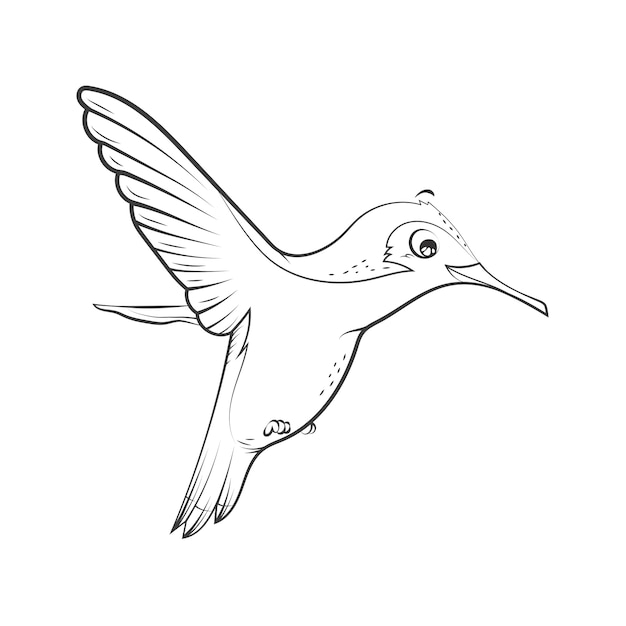 Free Vector hand drawn hummingbird outline illustration