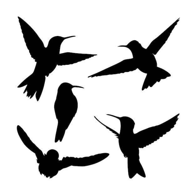 Free Vector hand drawn hummingbird silhouette