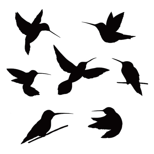 Free Vector hand drawn hummingbird silhouette