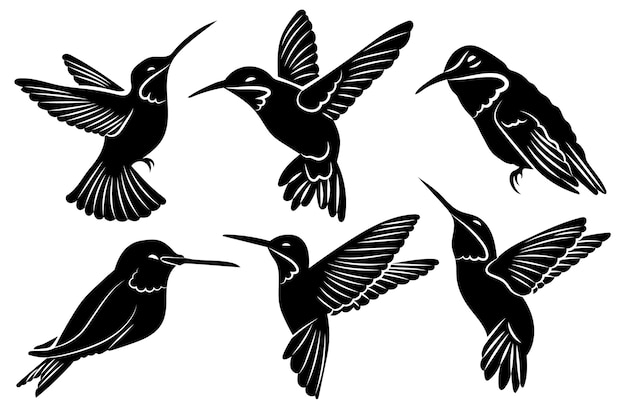 Free Vector hand drawn hummingbird silhouette