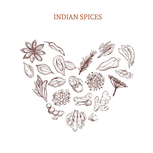 Hand Drawn Indian Spices Concept