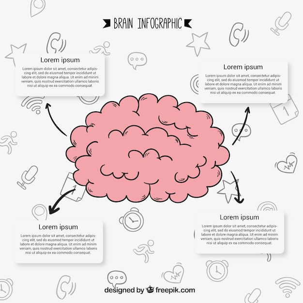 Free vector hand-drawn infographic of human brain