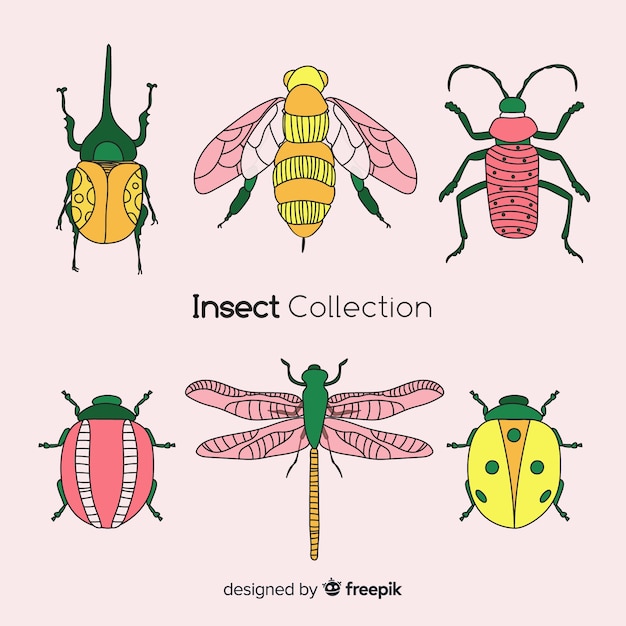 Hand drawn insect collection