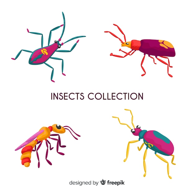 Hand drawn insect collection