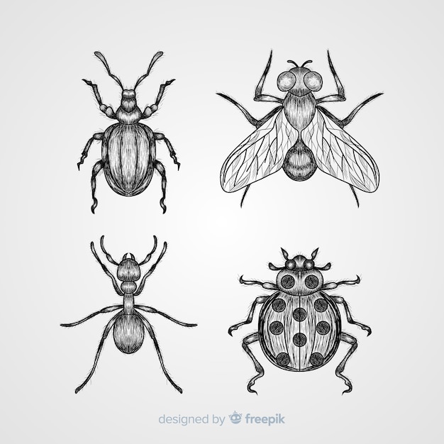 Free vector hand drawn insect sketch pack