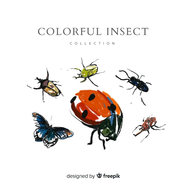 Free Vector hand drawn insects pack