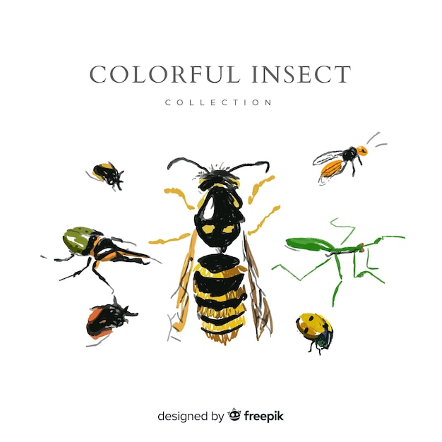 Hand drawn insects pack