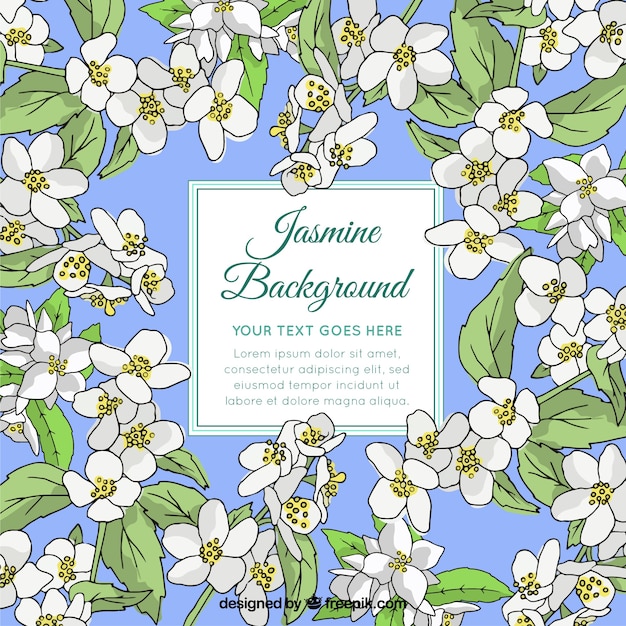 Free Vector hand drawn jasmine background with fun style