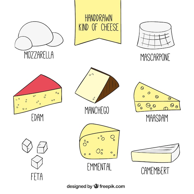 Free Vector hand drawn kind of cheese set