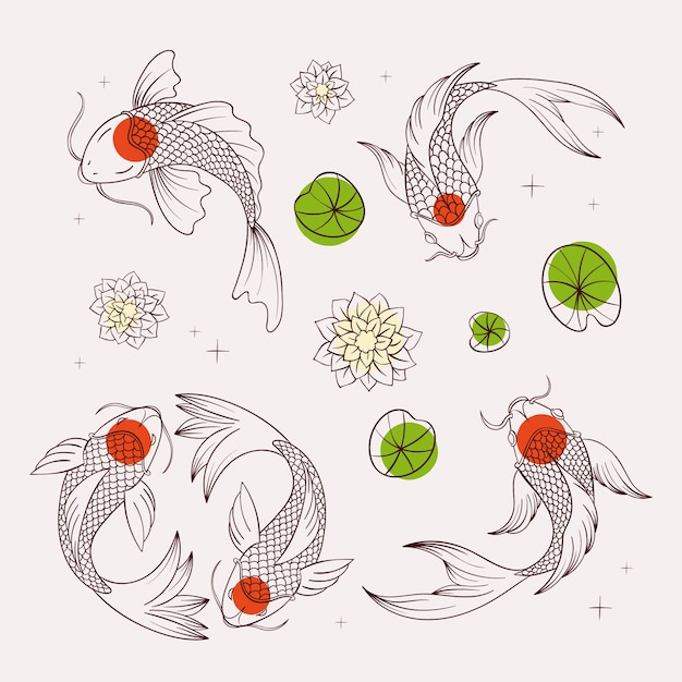 Hand drawn koi fish illustration