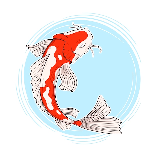 Hand drawn koi illustration