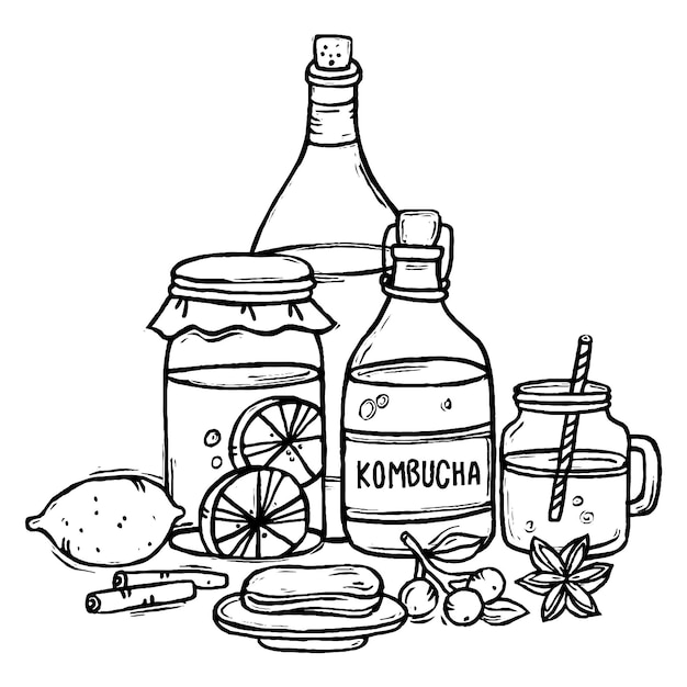 Hand drawn kombucha tea illustration with ingredients