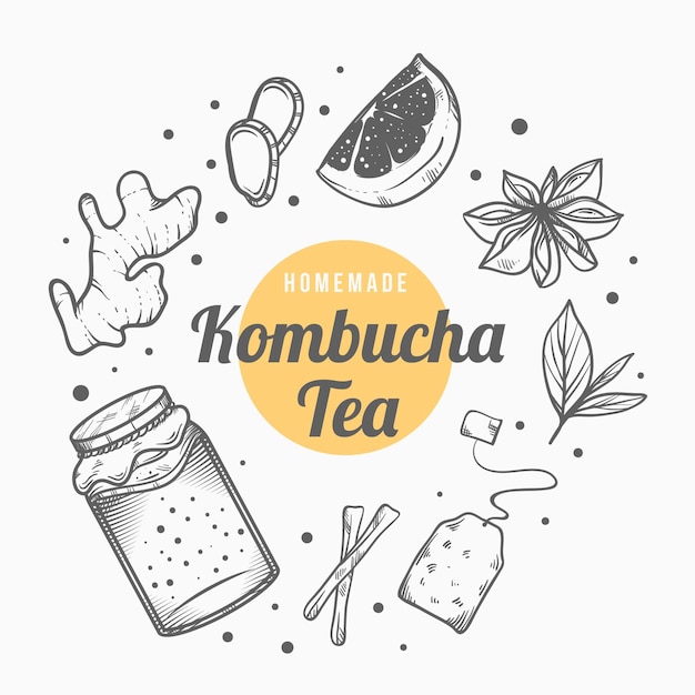 Hand drawn kombucha tea with ingredients