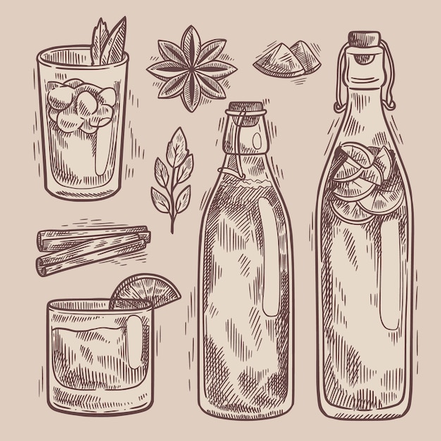 Hand drawn kombucha tea