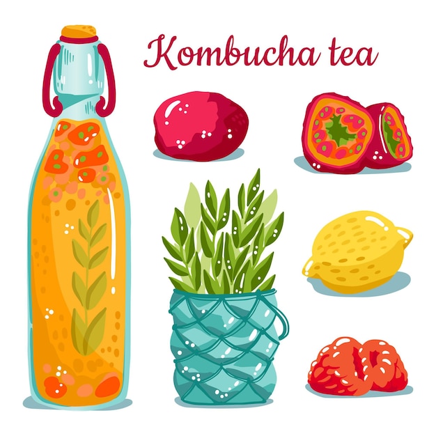 Free Vector hand drawn kombucha tea